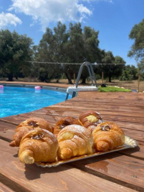 Dimora Aminidelo